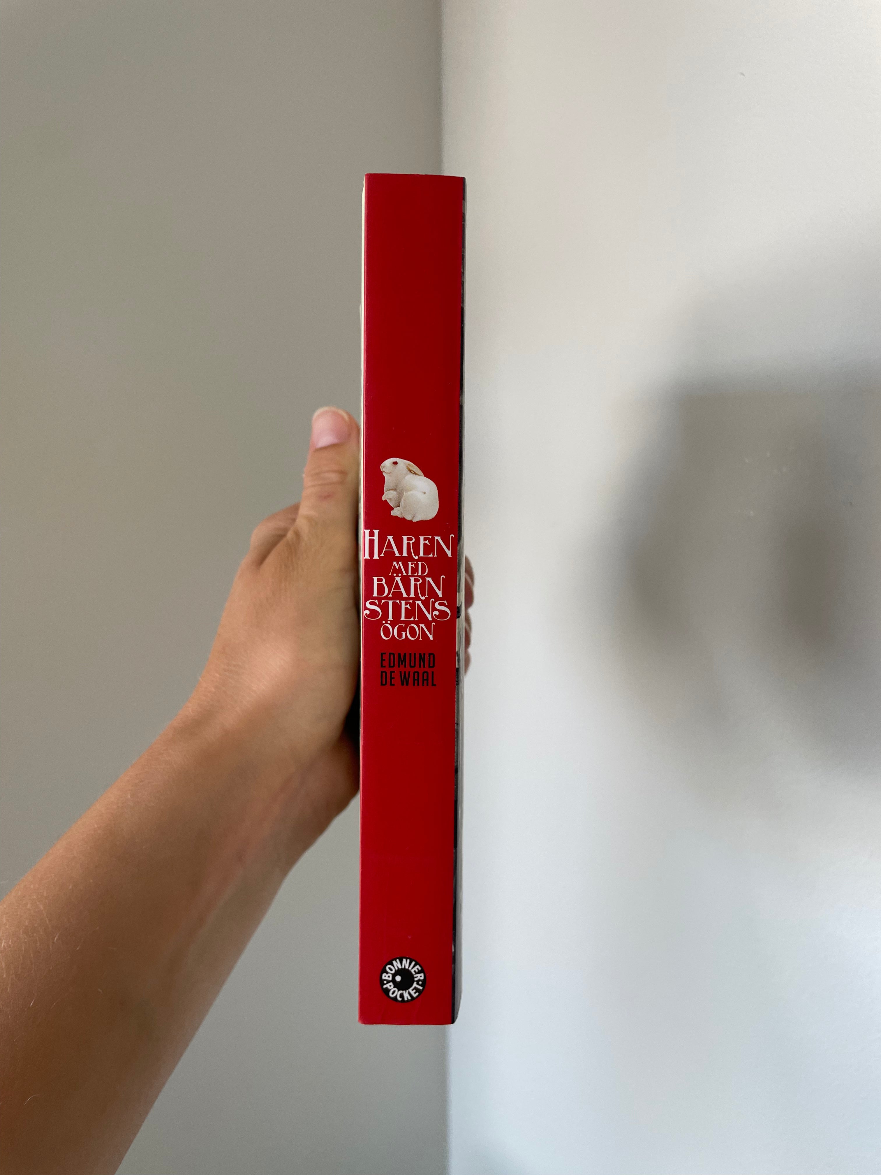 Haren med bärnstensögon // Edmund De Waal