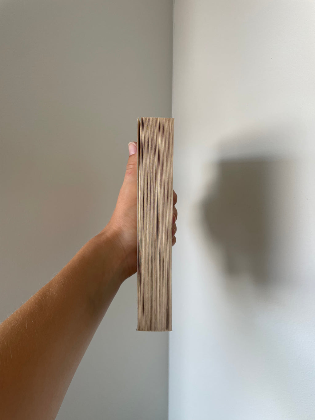 Haren med bärnstensögon // Edmund De Waal