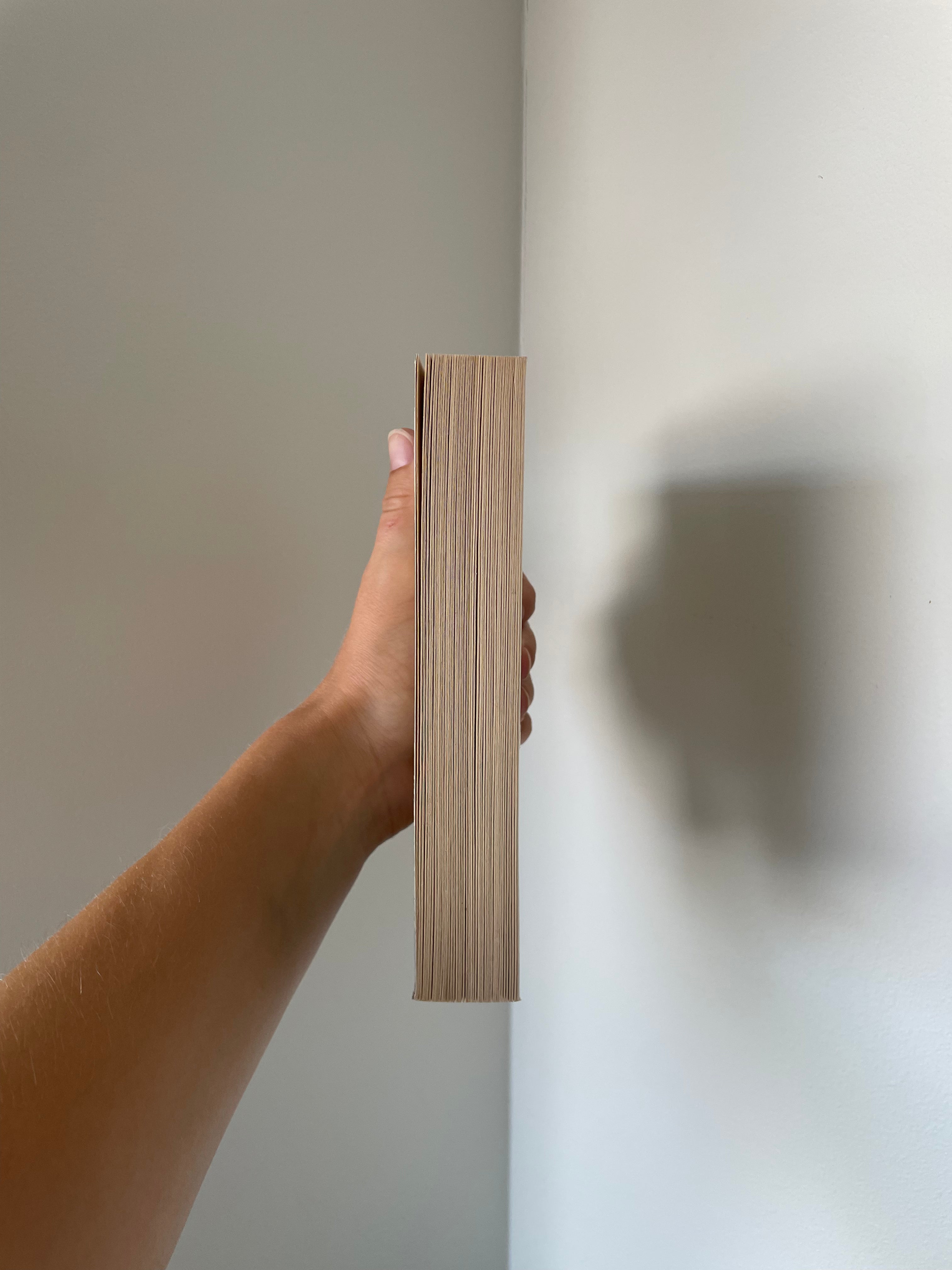 Haren med bärnstensögon // Edmund De Waal