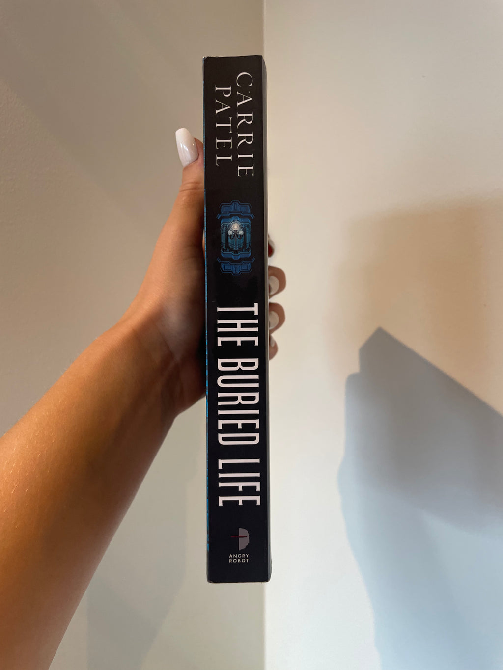 The Buried Life – rygg