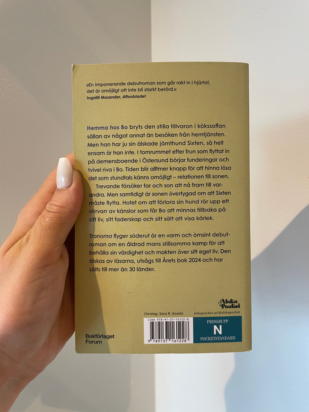Tranorna flyger söderut – baksida