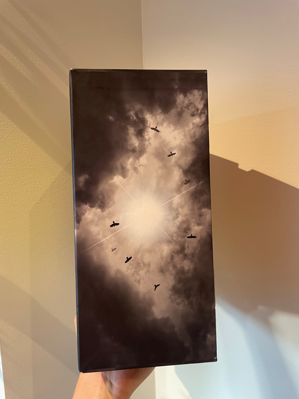 The Dark Tower box – detalj