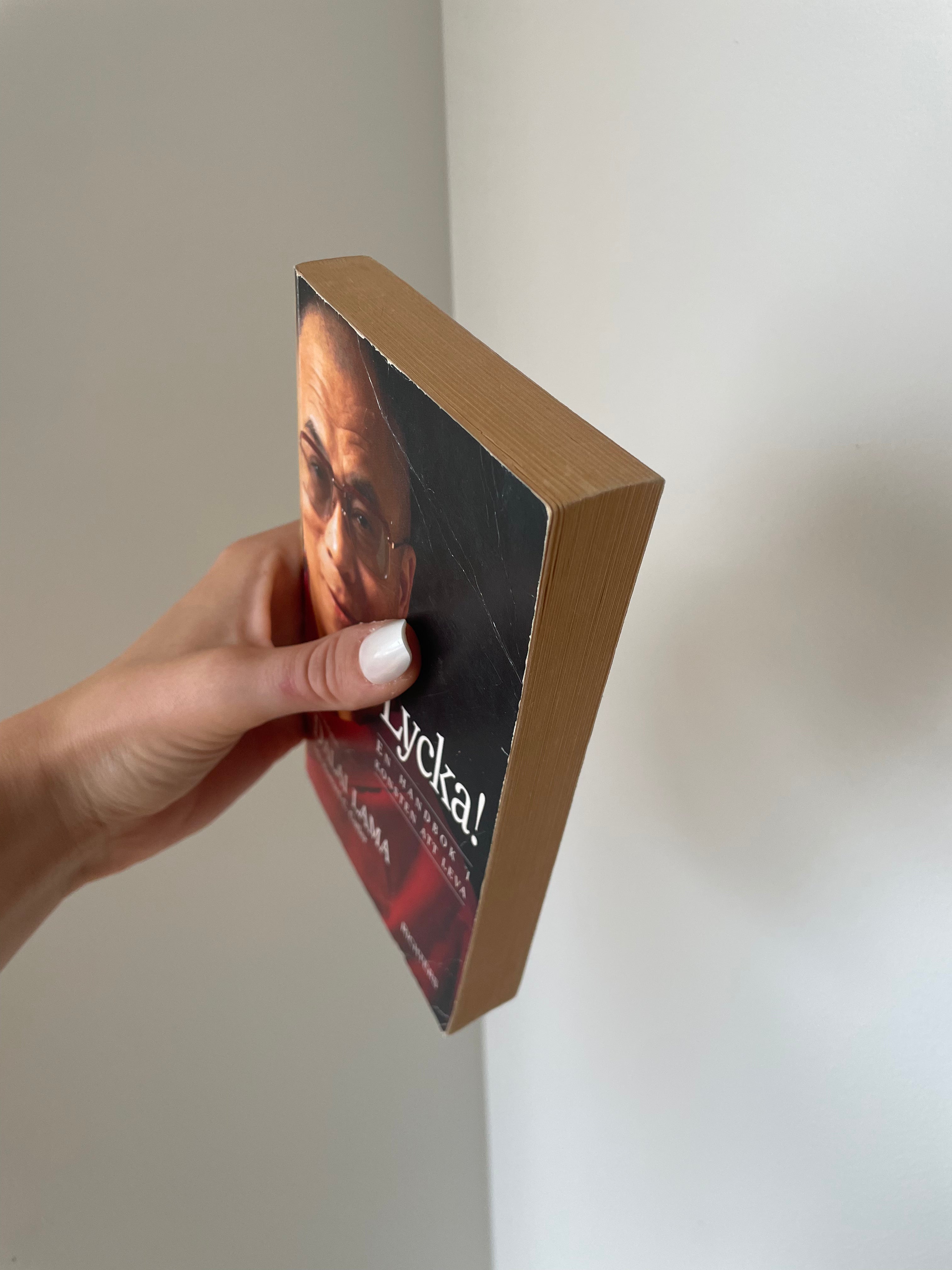 Lycka! En handbok i konsten att leva - kant