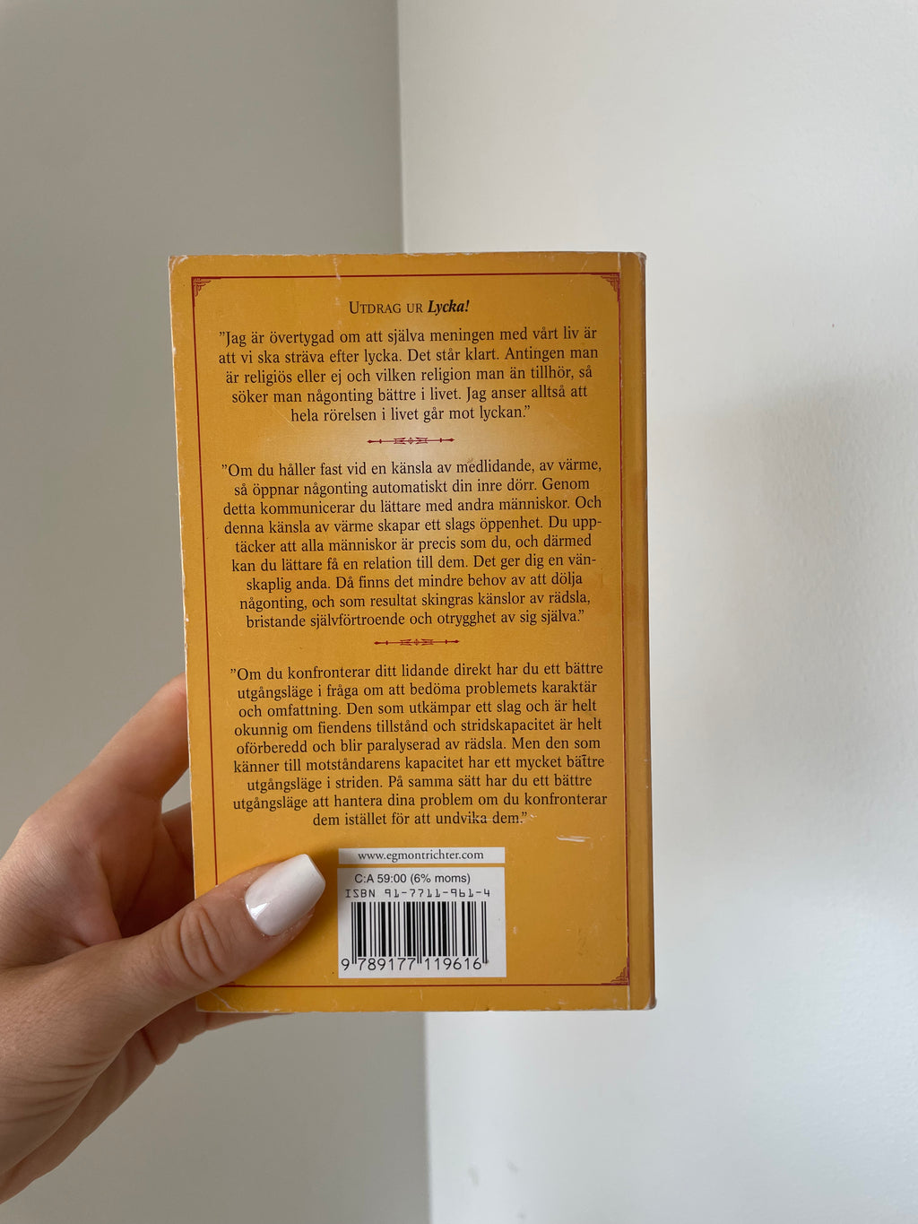 Lycka! En handbok i konsten att leva - baksida